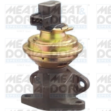 EGR Valve